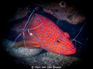 cleaning by Marc Van Den Broeck 